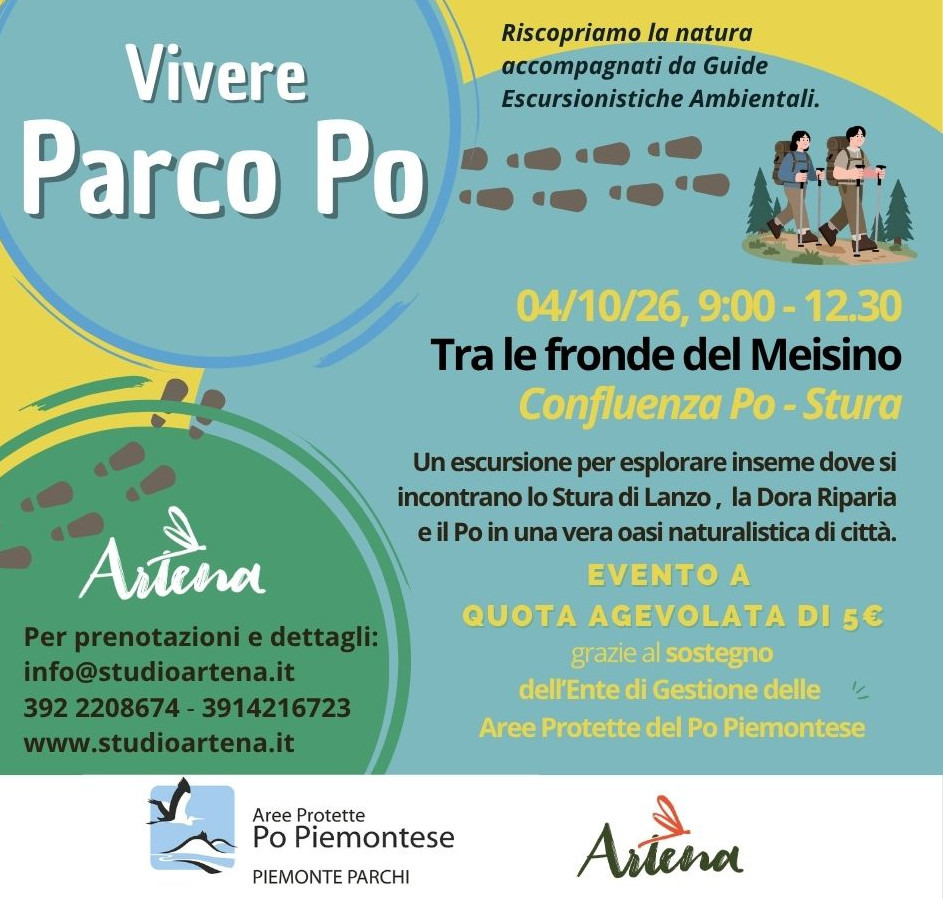 Tra le fronde del Meisino